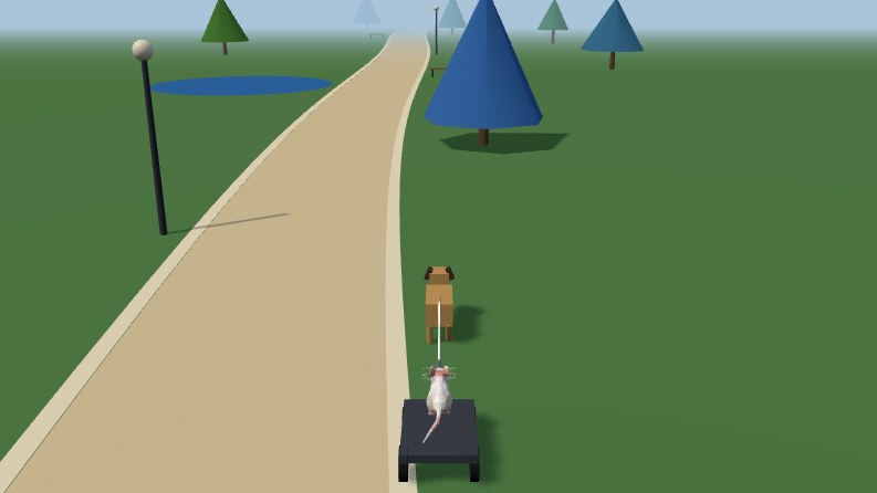The park path the mouse model walks the dog along